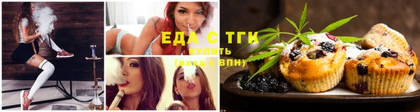 твердый Инта