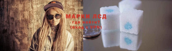 твердый Инта