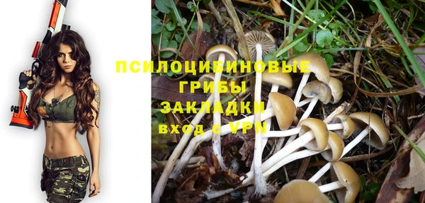 a pvp Алзамай