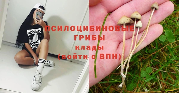 a pvp Алзамай