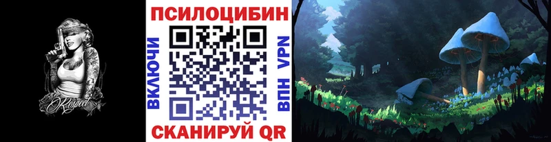 Псилоцибиновые грибы Psilocybine cubensis  Ртищево 